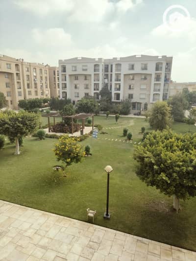 2 Bedroom Apartment for Rent in New Cairo, Cairo - c1a602f1-2a56-42ff-a6ee-ddba70a1ef10. jpg 2 Bedroom Apartment for Rent in New Cairo, Cairo - c1a602f1-2a56-42ff-a6ee-ddba70a1ef10. jpg
