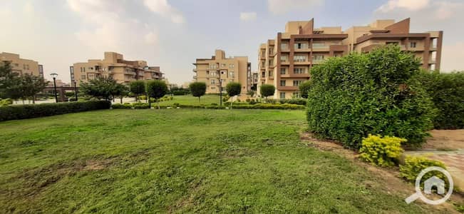 3 Bedroom Apartment for Rent in Shorouk City, Cairo - WhatsApp Image 2026-10-11 at 15.58. 23. jpeg 3 Bedroom Apartment for Rent in Shorouk City, Cairo - WhatsApp Image 2026-10-11 at 15.58. 23. jpeg
