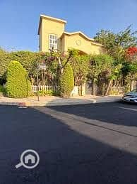 7 IMG_3201. jpeg
