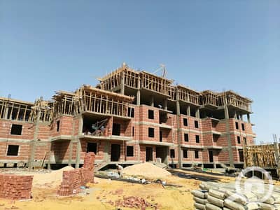 3 Bedroom Flat for Sale in Sheikh Zayed, Giza - 1001119937. jpg 3 Bedroom Flat for Sale in Sheikh Zayed, Giza - 1001119937. jpg