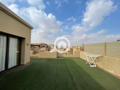 Room for Rent in Sheikh Zayed, Giza - 1001977060. jpg Room for Rent in Sheikh Zayed, Giza - 1001977060. jpg