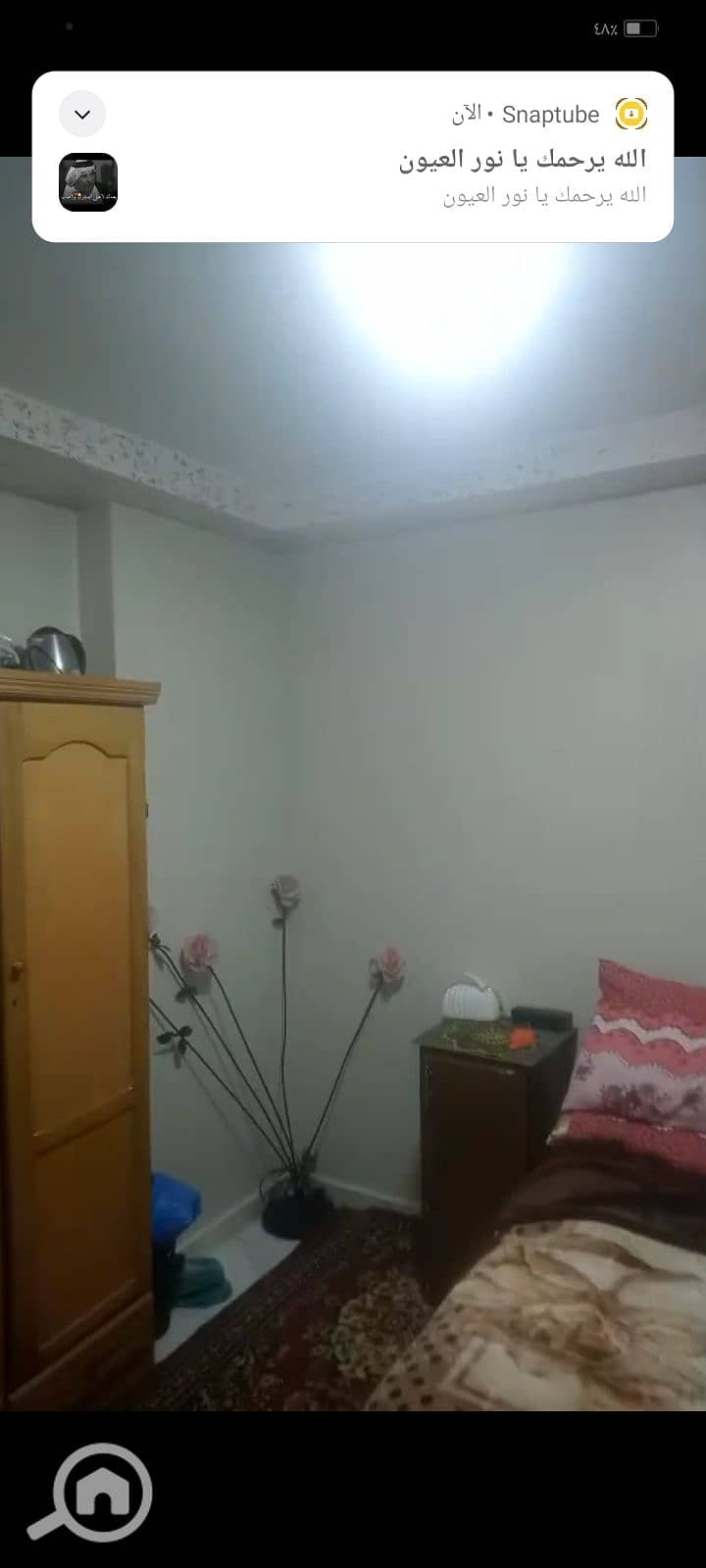 7 1000979481. jpg