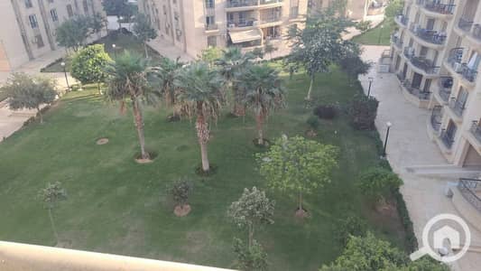 شقة 3 غرف نوم للايجار في القاهرة الجديدة، القاهرة - 1000769114. jpg شقة 3 غرف نوم للايجار في القاهرة الجديدة، القاهرة - 1000769114. jpg