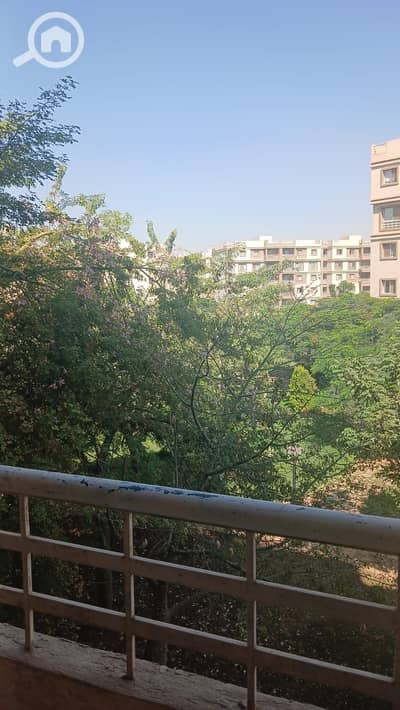 3 Bedroom Flat for Rent in Madinaty, Cairo - 1000642721. jpg 3 Bedroom Flat for Rent in Madinaty, Cairo - 1000642721. jpg