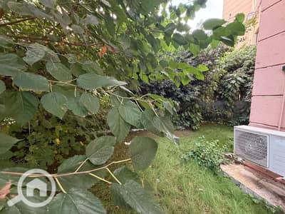 2 Bedroom Apartment for Rent in New Cairo, Cairo - WhatsApp Image 2026-10-12 at 4.11. 12 PM (2). jpeg 2 Bedroom Apartment for Rent in New Cairo, Cairo - WhatsApp Image 2026-10-12 at 4.11. 12 PM (2). jpeg