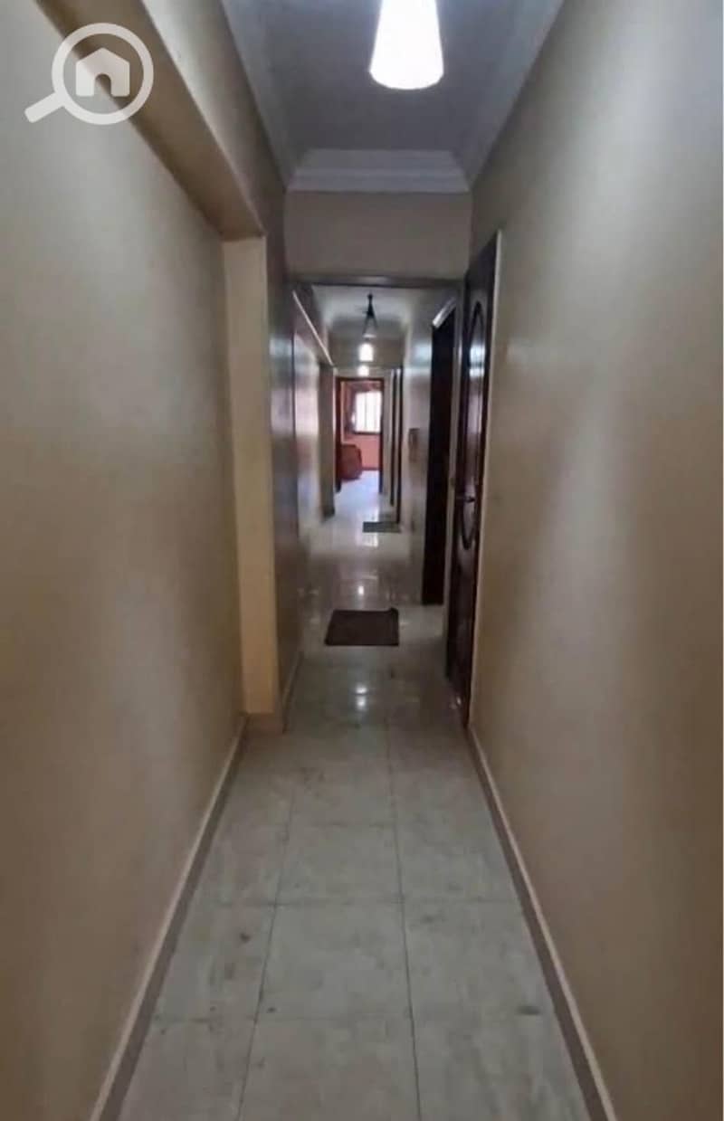 3 293803. jpg