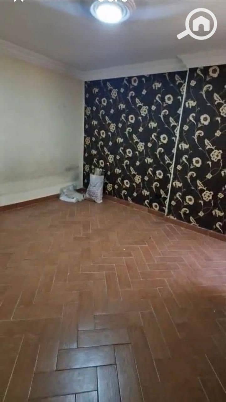 6 293808. jpg
