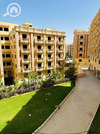 3 Bedroom Apartment for Sale in New Cairo, Cairo - IMG-20241121-WA0227. jpg