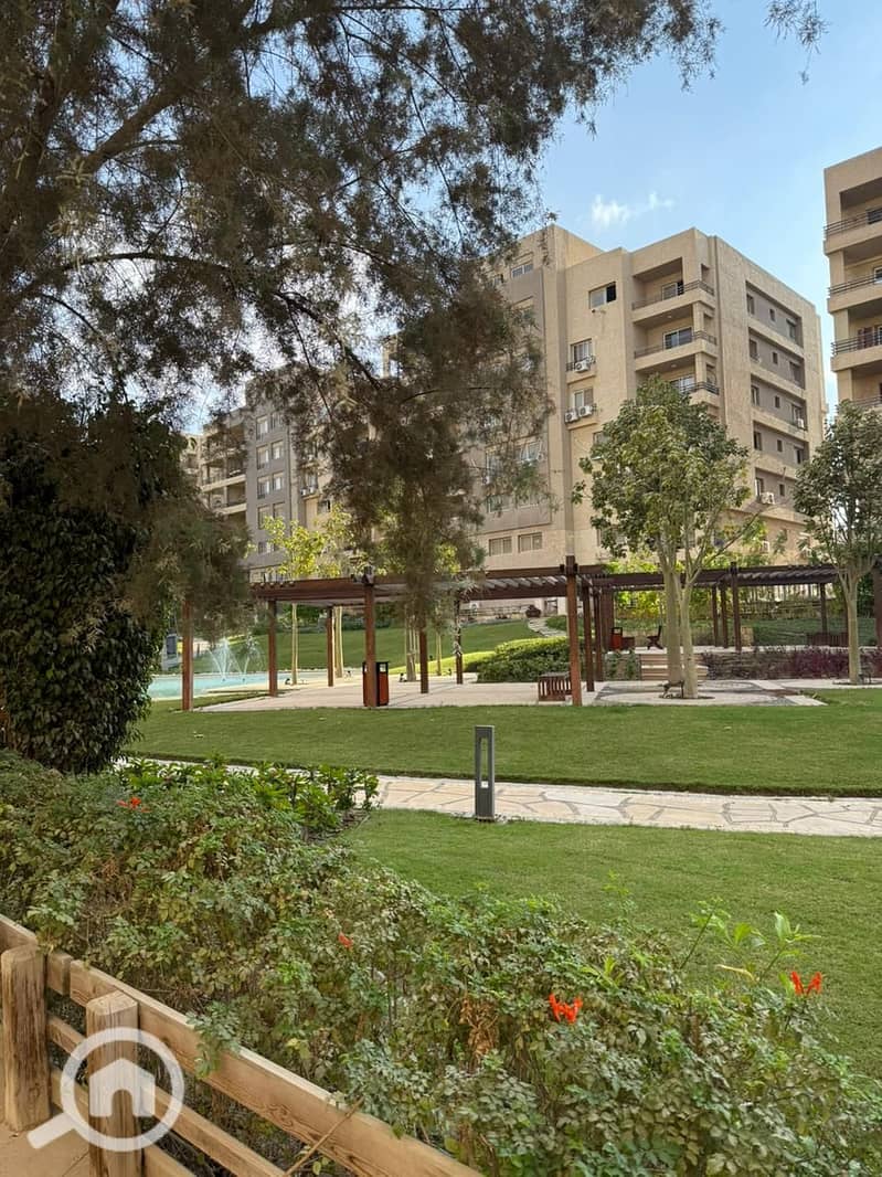 7 531585. jpg
