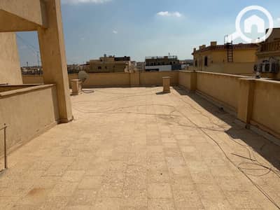 1 Bedroom Roof for Sale in New Cairo, Cairo - 163184. jpg 1 Bedroom Roof for Sale in New Cairo, Cairo - 163184. jpg