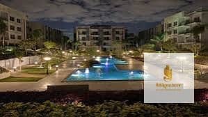 4 69. jpg