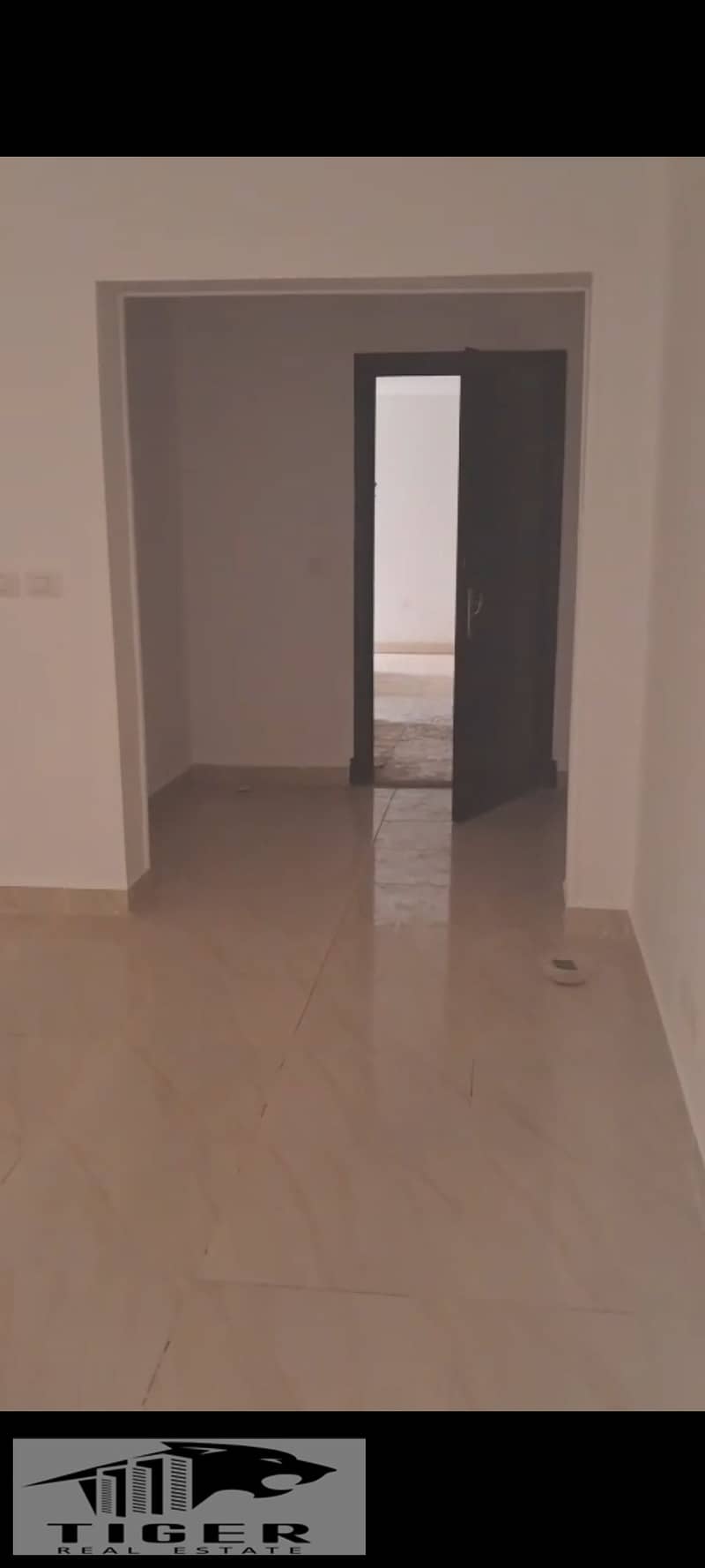 2 1000960468. jpg