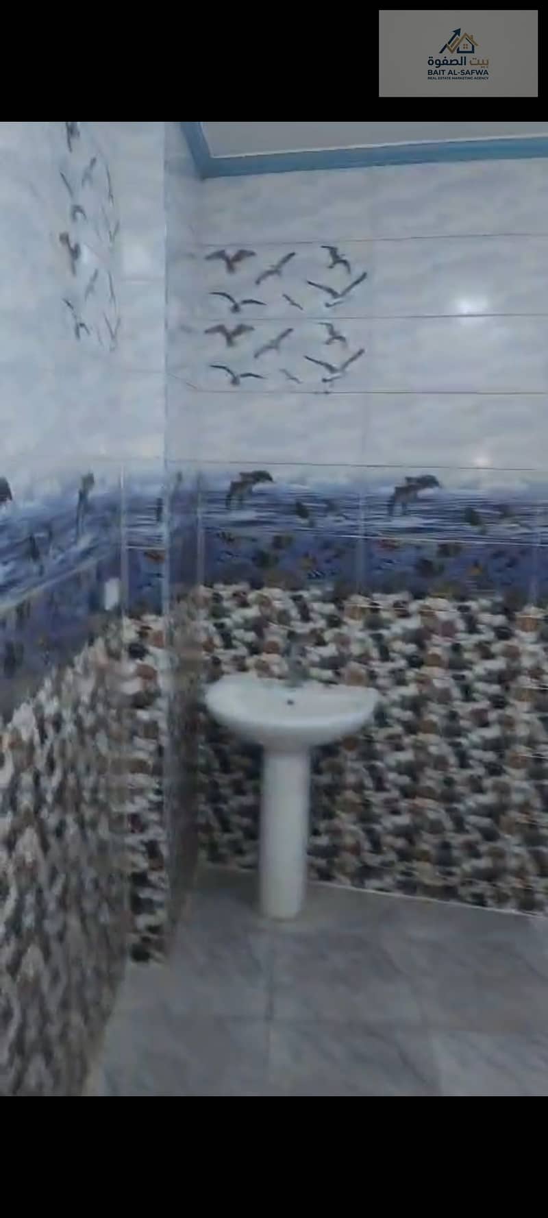 6 191300. jpg