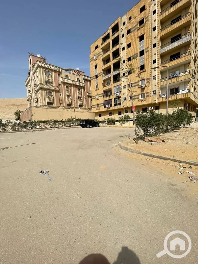 3 اوركيد3. jpeg