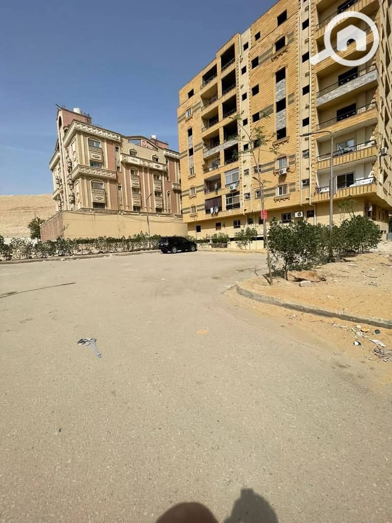 8 اوركيد3. jpeg