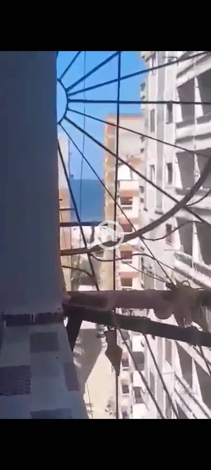 4 1000979717. jpg