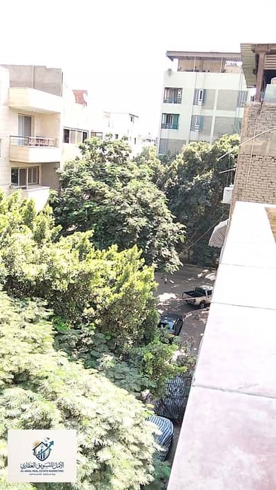 1 Bedroom Flat for Rent in Maadi, Cairo - 1000298631. jpg 1 Bedroom Flat for Rent in Maadi, Cairo - 1000298631. jpg