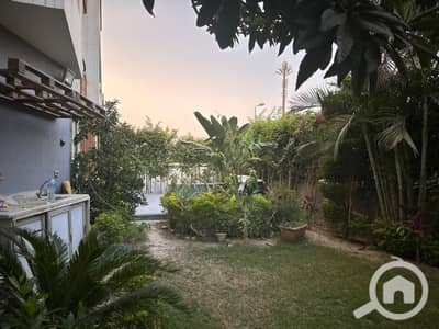 3 Bedroom Apartment for Rent in Sheikh Zayed, Giza - WhatsApp Image 2026-10-12 at 9.43. 30 PM. jpeg 3 Bedroom Apartment for Rent in Sheikh Zayed, Giza - WhatsApp Image 2026-10-12 at 9.43. 30 PM. jpeg