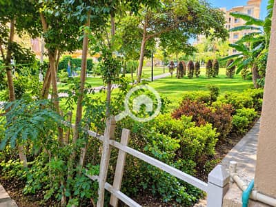 3 Bedroom Flat for Sale in Madinaty, Cairo - 314030. png 3 Bedroom Flat for Sale in Madinaty, Cairo - 314030. png