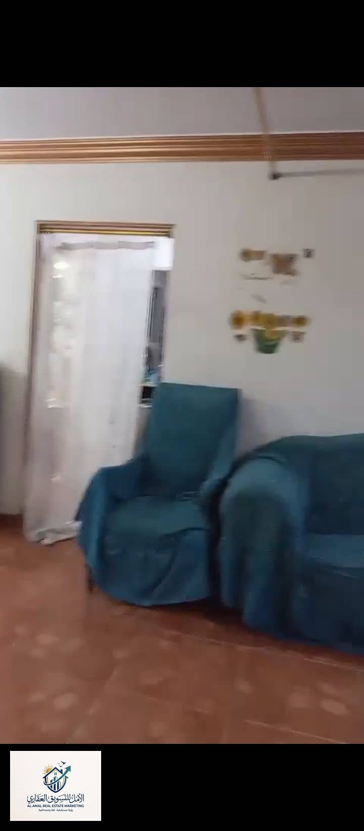 5 1000298736. jpg