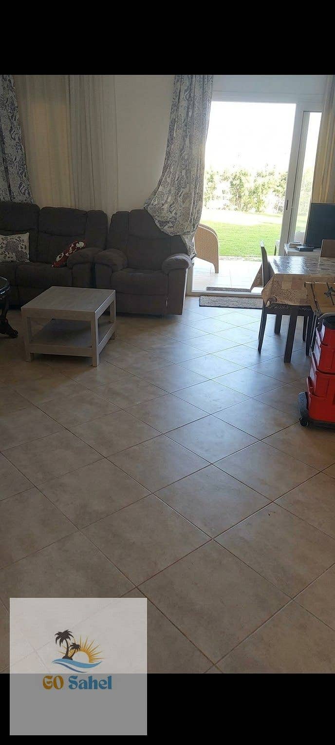 6 1000858738. jpg