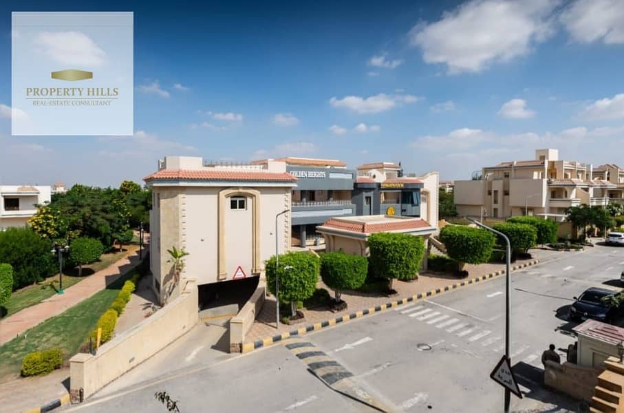 7 118451. jpg