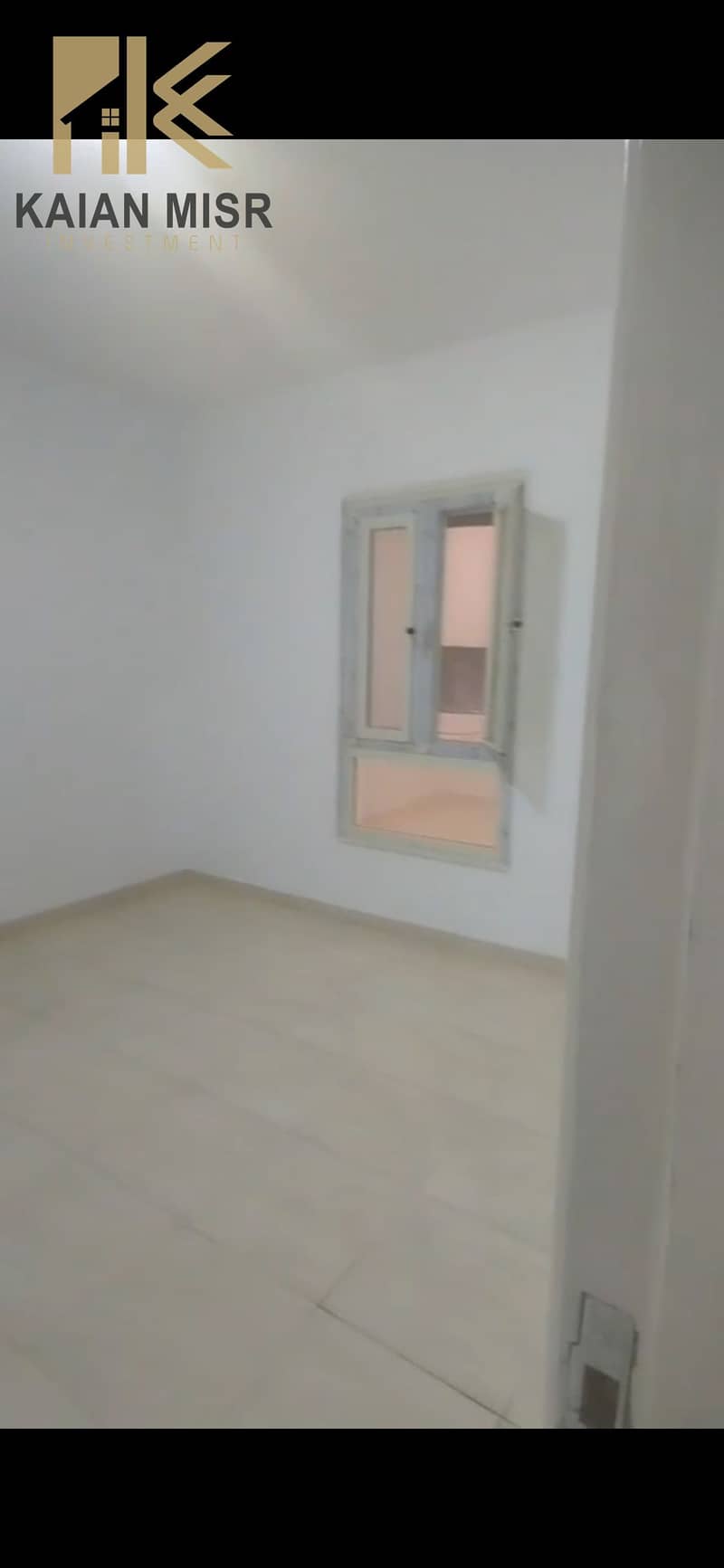 8 18393. jpg
