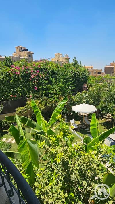 5 Bedroom Villa for Rent in New Cairo, Cairo - 163495. jpg 5 Bedroom Villa for Rent in New Cairo, Cairo - 163495. jpg