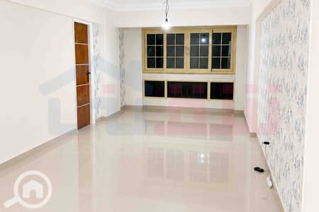 3 Bedroom Flat for Sale in Zizinia, Alexandria - WhatsApp Image 2026-10-05 at 10.15. 13. jpg