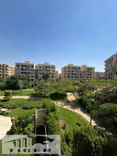 4 Bedroom Flat for Sale in Madinaty, Cairo - 283764. jpg 4 Bedroom Flat for Sale in Madinaty, Cairo - 283764. jpg