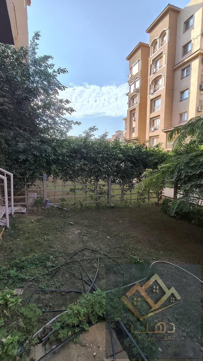 6 586761. jpg