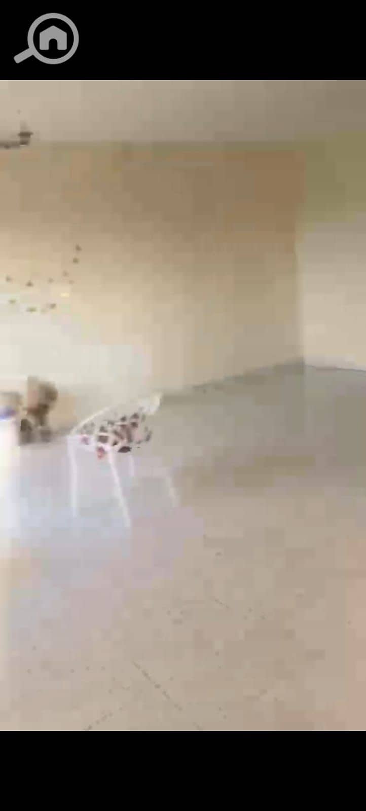 20 1001068563. jpg