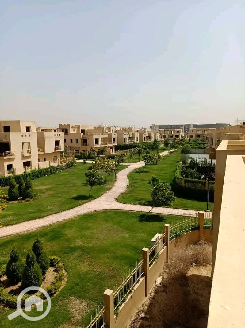 6 1000359784. jpg
