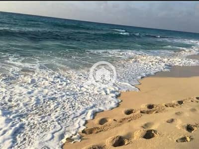 2 Bedroom Chalet for Sale in North Coast, Matruh - WhatsApp Image 2026-10-13 at 12.27. 36 PM (1). jpeg 2 Bedroom Chalet for Sale in North Coast, Matruh - WhatsApp Image 2026-10-13 at 12.27. 36 PM (1). jpeg