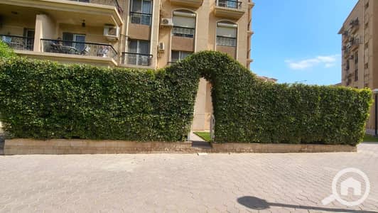 3 Bedroom Apartment for Rent in New Cairo, Cairo - 1000100925. jpg