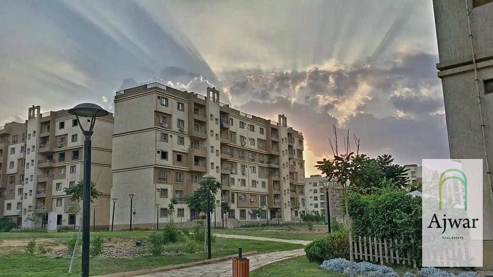 7 495463694_4537657179810066_3409382343941649128_n. jpg