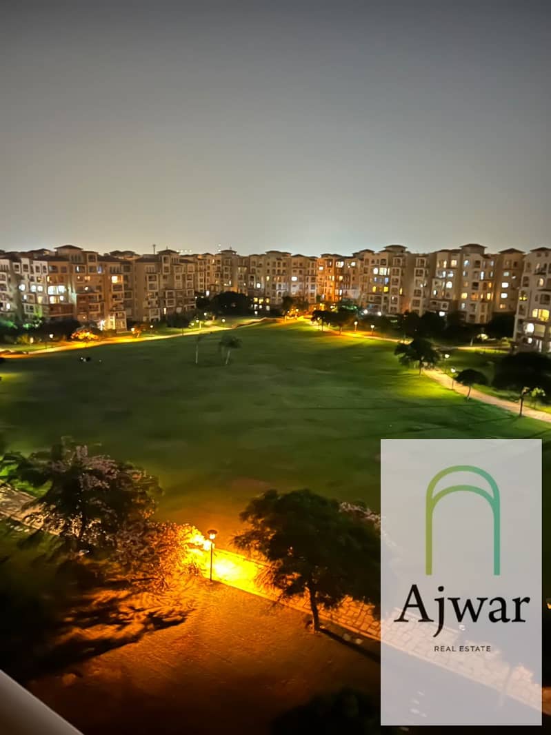 3 35. jpeg