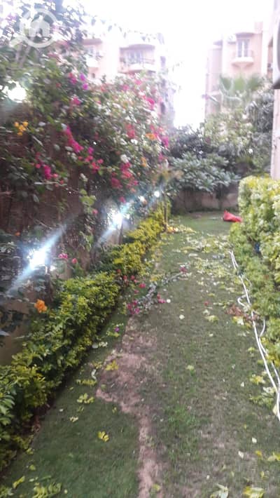 3 Bedroom Apartment for Rent in 6th of October, Giza - 34cc0c78-bbd7-45a6-84cc-59cac54187b2. jpeg 3 Bedroom Apartment for Rent in 6th of October, Giza - 34cc0c78-bbd7-45a6-84cc-59cac54187b2. jpeg
