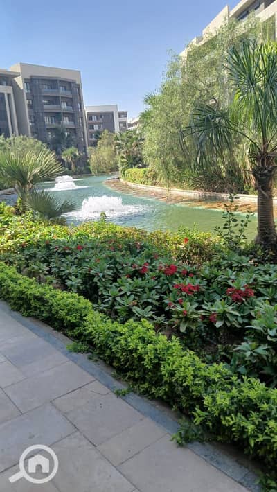 2 Bedroom Apartment for Rent in Madinaty, Cairo - 1000726506. jpg
