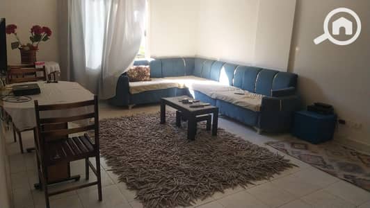 2 Bedroom Apartment for Rent in New Cairo, Cairo - IMG-20241020-WA0477. jpg 2 Bedroom Apartment for Rent in New Cairo, Cairo - IMG-20241020-WA0477. jpg