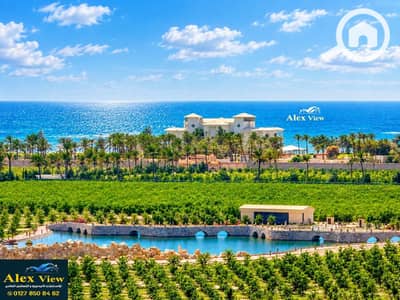 3 Bedroom Flat for Sale in Mandara, Alexandria - 1. jpg