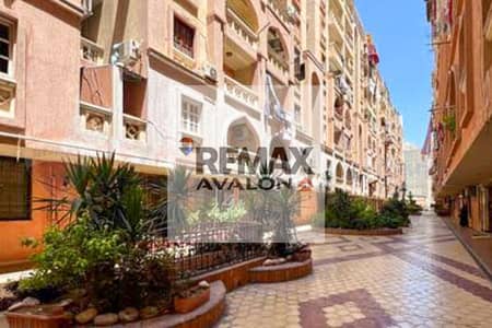 3 Bedroom Apartment for Sale in Smoha, Alexandria - 1. jpg 3 Bedroom Apartment for Sale in Smoha, Alexandria - 1. jpg