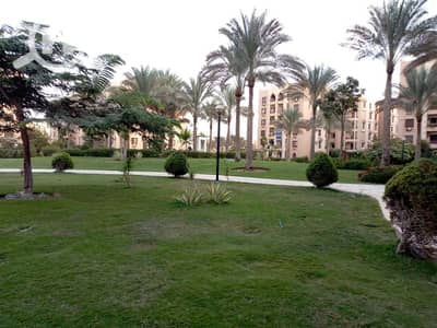 فلیٹ 1 غرفة نوم للايجار في القاهرة الجديدة، القاهرة - 47788905-6f0d-4596-8347-ed6b8a62ba7c. jpeg