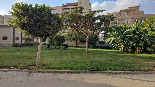 3 Bedroom Flat for Sale in New Cairo, Cairo - WhatsApp Image 2026-10-13 at 11.39. 36 AM. jpeg