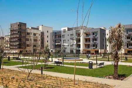 3 Bedroom Flat for Sale in New Cairo, Cairo - WhatsApp Image 2026-02-11 at 3.09. 40 PM (1). jpeg