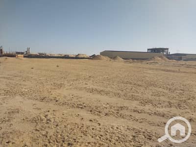 Warehouse for Sale in Badr City, Cairo - WhatsApp Image 2026-09-09 at 3.36. 21 PM. jpeg Warehouse for Sale in Badr City, Cairo - WhatsApp Image 2026-09-09 at 3.36. 21 PM. jpeg