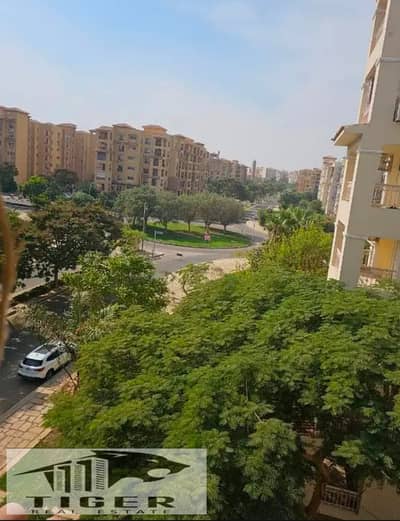 3 Bedroom Apartment for Sale in Madinaty, Cairo - WhatsApp Image 2026-10-13 at 2.56. 59 PM (8). jpeg 3 Bedroom Apartment for Sale in Madinaty, Cairo - WhatsApp Image 2026-10-13 at 2.56. 59 PM (8). jpeg