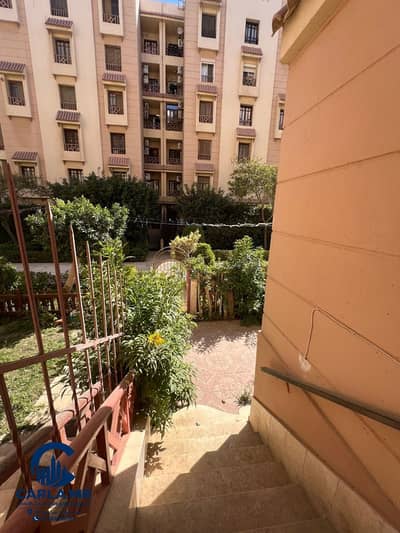 1 Bedroom Flat for Sale in New Cairo, Cairo - WhatsApp Image 2026-10-12 at 2.37. 01 PM (3). jpeg 1 Bedroom Flat for Sale in New Cairo, Cairo - WhatsApp Image 2026-10-12 at 2.37. 01 PM (3). jpeg