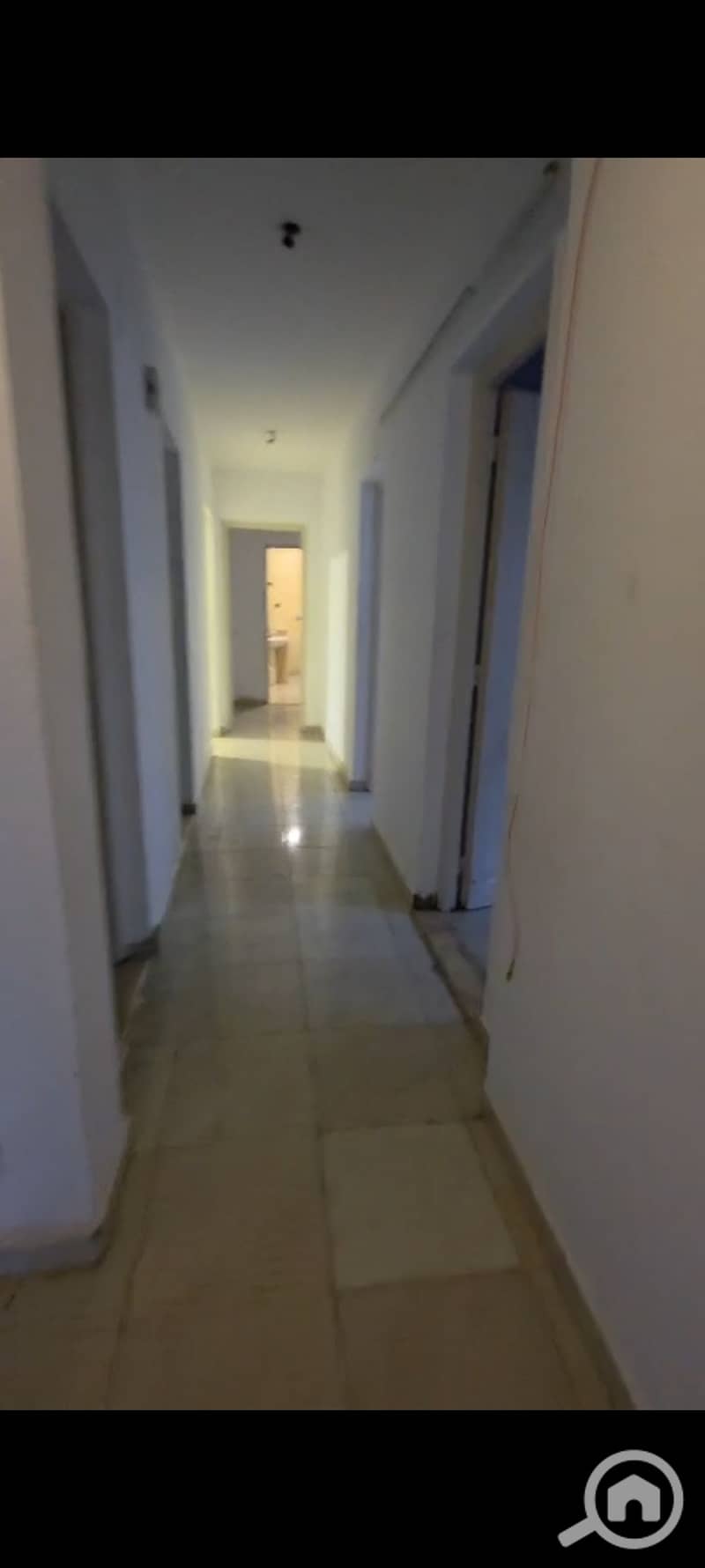 7 1001265805. jpg
