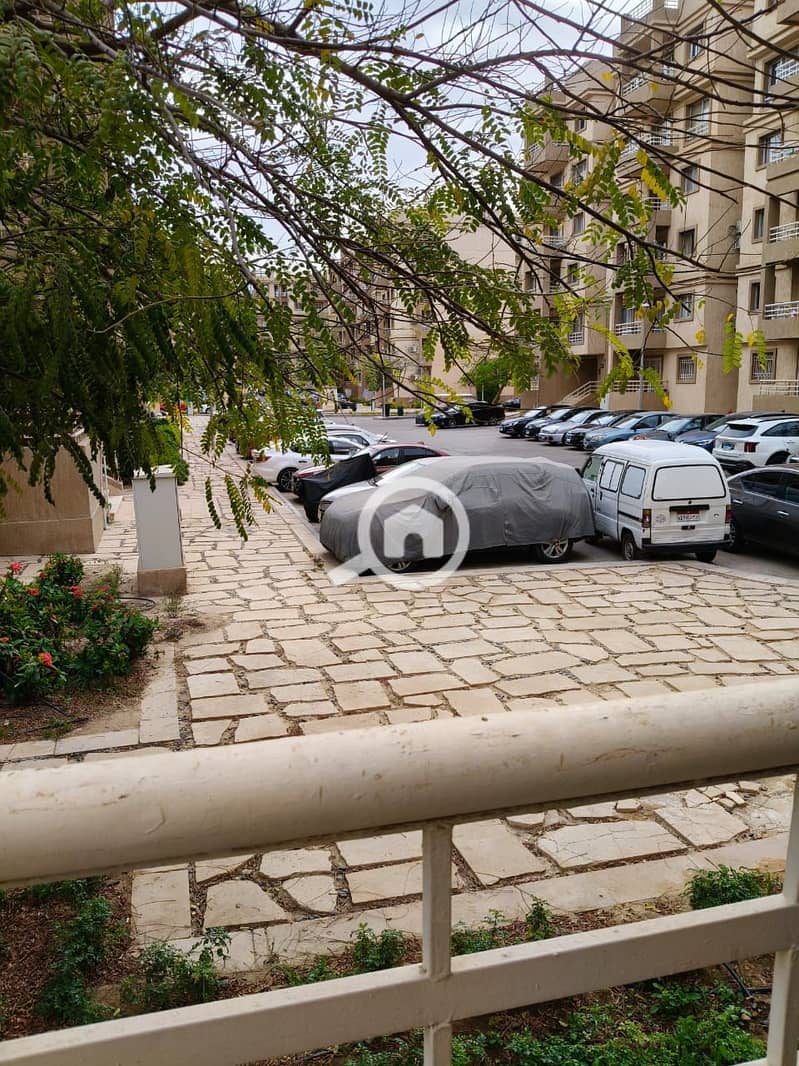 9 7. jpg
